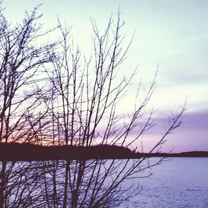 Meet your Posher, Jayme